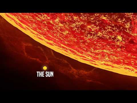 Comparison Of The Biggest Things In The Universe