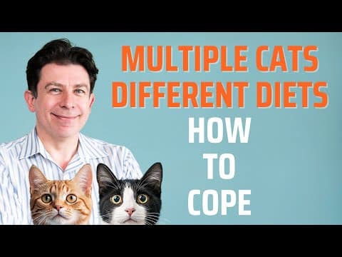 Multiple Cats, Different Diets - How To Cope