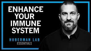 Using Your Nervous System To Enhance Your Immune System | Huberman Lab Essentials