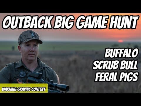 Hunting Buffalo Scrub Bull And Feral Pigs In The Outback | Dangerous Game | Territory Lodge Safaris