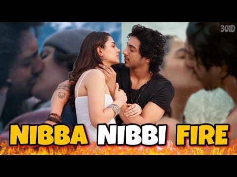 Nibba Nibbi On Fire🔥 || Ft. Saiyaara || Nikhil || 301 Diaries