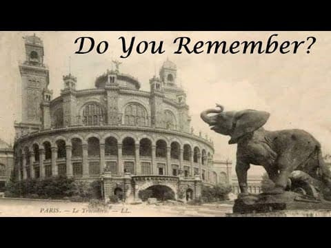 The Elephant In The Room! The Awakening Collective Memory! 🤯