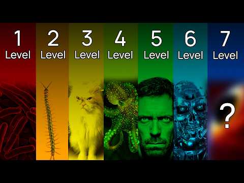 The Gradient Of Consciousness Explained