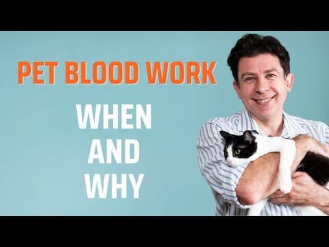 Why & When Should I Do Blood Work For My Pet?
