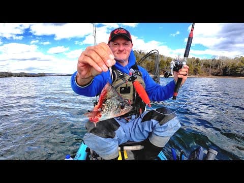Crappie Gets Devoured By Huge Catfish!
