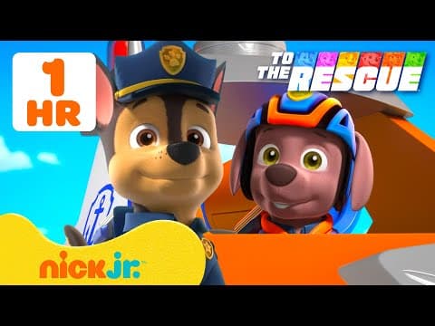 Paw Patrol To The Rescue: Search & Rescue Missions! #2 W/ Zuma | Nick Jr.