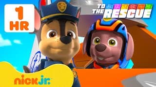 Paw Patrol To The Rescue: Search & Rescue Missions! #2 W/ Zuma | Nick Jr.