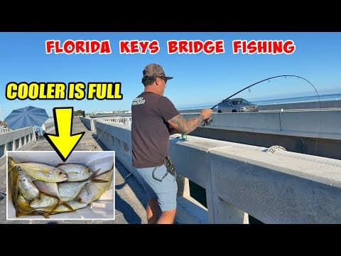 Bridge Fishing For Fish To Catch And Cook!