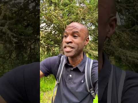 A Tale Of Abundance & Cheap Meat