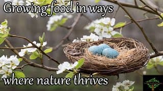 Growing Food In Ways Where Nature Can Co-exist And Thrive