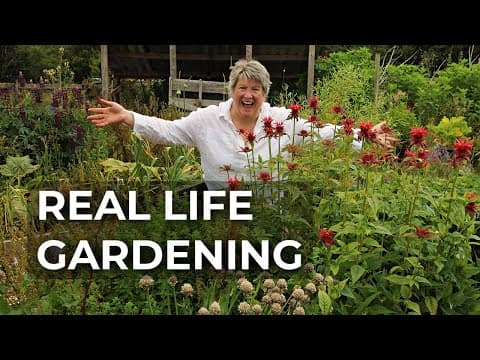 Vegetable Garden Tour (june 2025) | Organic Permaculture Gardening