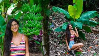Planting 100+ Banana Palms 🍌🌴🐒 Before & After Property Transformation 🌱 Raw Vegan Living In Hawaii 🌺
