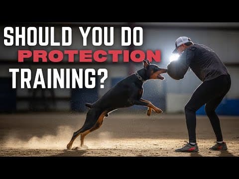 The Dangerous Truth About Doberman Protection Training