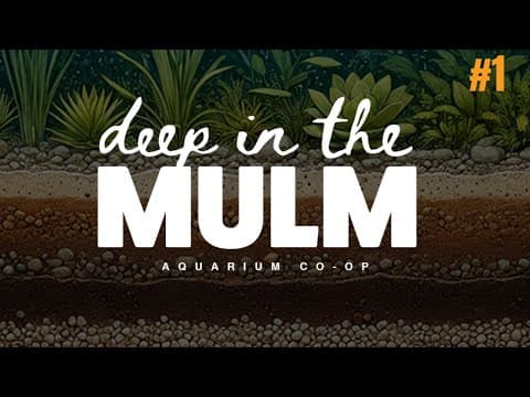 Deep In The Mulm Podcast Ep. 1