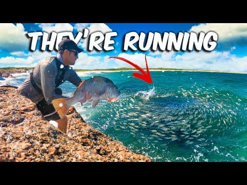 This Is What Happens When The Mullet Run Hits… Jetty Fishing Is Fire