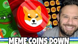 Shiba Inu Coin | Shib And Other Meme Coins Risk Further Declines