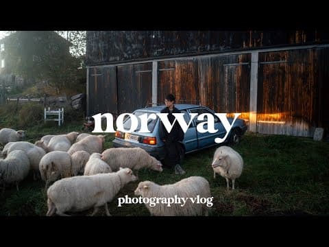 Norway Road Trip | Exploring Mountains, Farm Stays, And Chasing The Northern Lights!
