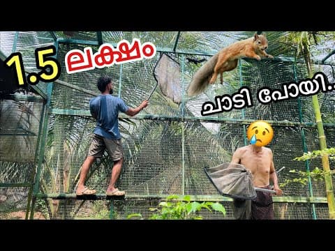 💥നമ്മുടെ അണ്ണാൻ ചാടി പോയി | Backyard Forest | Fishing Freaks