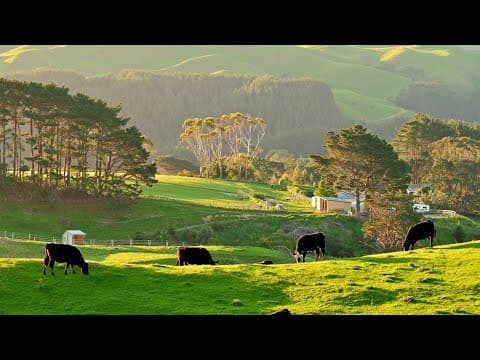 Desa Di New Zealand: Keindahan Hidup Di Pedesaan