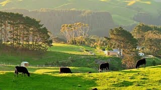 Desa Di New Zealand: Keindahan Hidup Di Pedesaan