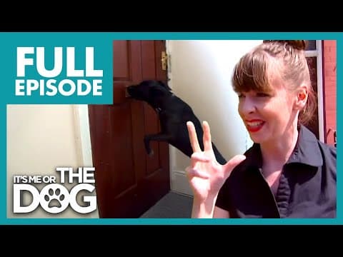 "she Just Hung Off His Arm": This Dog Bites The Postman! | It's Me Or The Dog