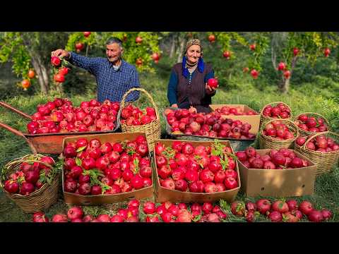 Cooking Sweet Pomegranate Recipes! Cozy Life In Village