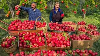 Cooking Sweet Pomegranate Recipes! Cozy Life In Village