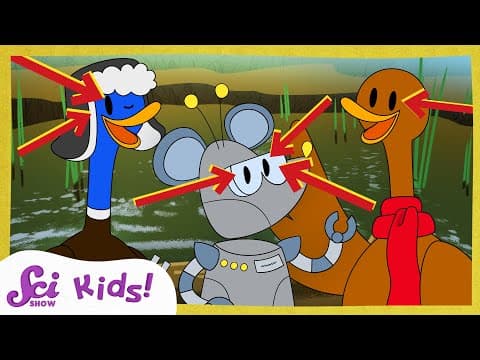 How Eyes Let Us See The World | Scishow Kids