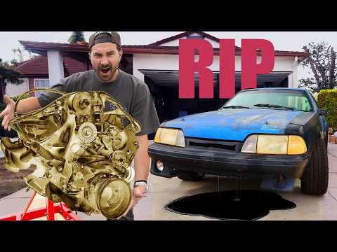 Doubling Our Mustangs Horsepower