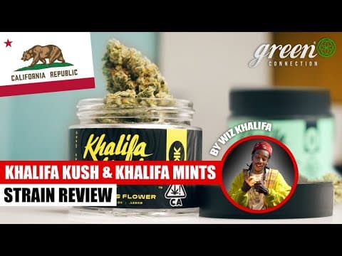 Was Kann Khalifa Kush ? | Strain Review Khalifa Kush & Khalifa Mintz