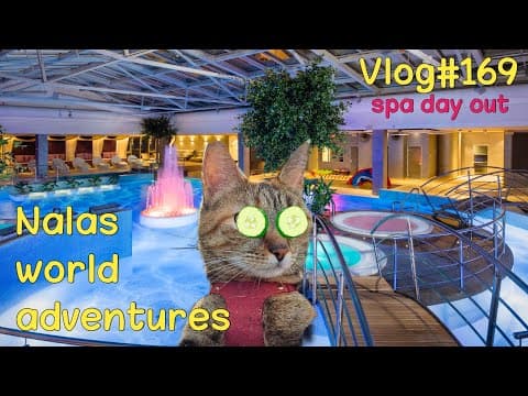 Tartu Spa Stay 😻 Vlog #169