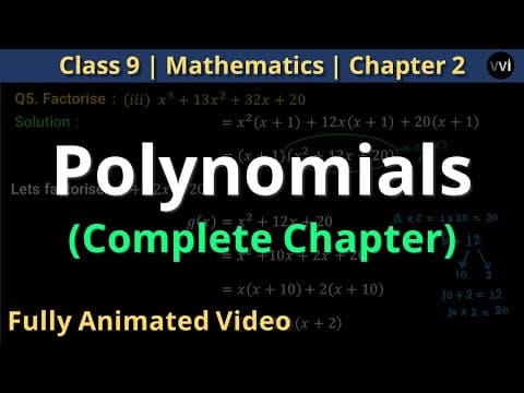 Polynomials | Class 9th Math | Complete Chapter In One Animated Video !!