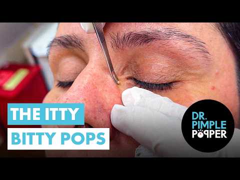 The Itty-bitty Pops: Small But Mighty