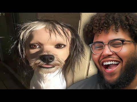 Memes That Make Me Question My Sanity