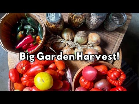 BIG GARDEN HARVEST | Preserving the Bounty