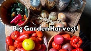 BIG GARDEN HARVEST | Preserving the Bounty