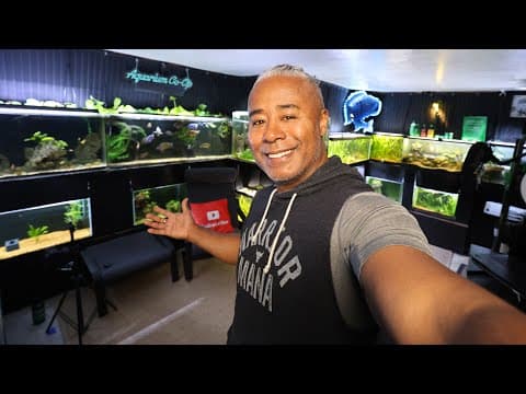 Every Fish Tank In My Home **fishroom Tour**