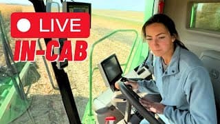 Live: Harvesting Corn