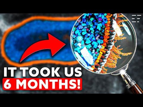 We Slowed Down A Bacterium To One Billionth Of A Second | World Premiere