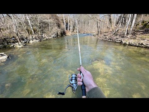 Trout Fishing With Inline Spinners (creek Fishing)
