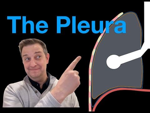 The Pleura: Layers, Recesses, And Clinical Correlates. Usmle Step 1 Review.