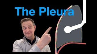 The Pleura: Layers, Recesses, And Clinical Correlates. Usmle Step 1 Review.