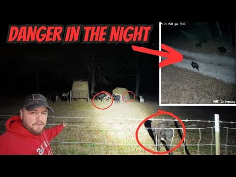 Giant Guard Dogs Protect Everyone From Unwanted Visitors In The Night - Caught On Security Camera