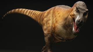 The Most Accurate T. Rex Reconstruction So Far?