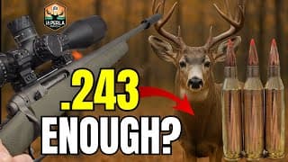 .243 Vs Deer (real Hunt Footage) @laperlaranch La Perla Ranch
