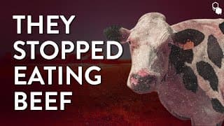 The Horrifying Science Of Prions