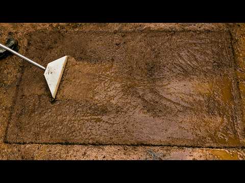 I Cleaned An Extremely Dirty Rug No One Dared To Touch...