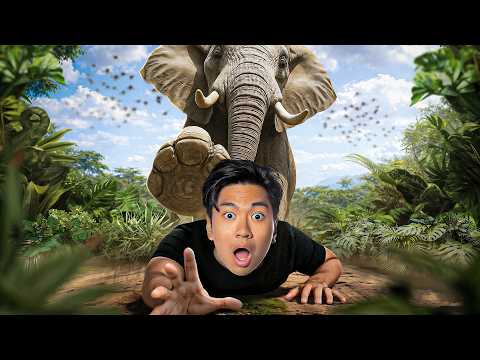 Les Morts Les Plus Éclatées De L’histoire ! (édition Asie) 💀