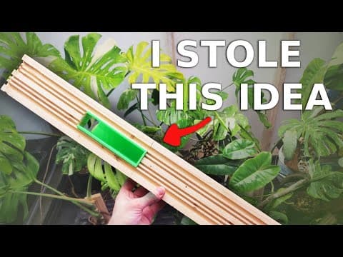 The Best Modular Planks For Plants