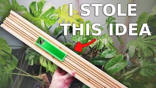 The Best Modular Planks For Plants